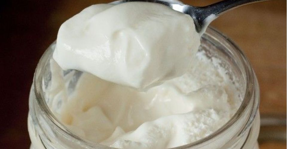 FOTO: Yogurt Homemade (sumber: Pinterest - Doç. Dr. Teoman AKPINAR)