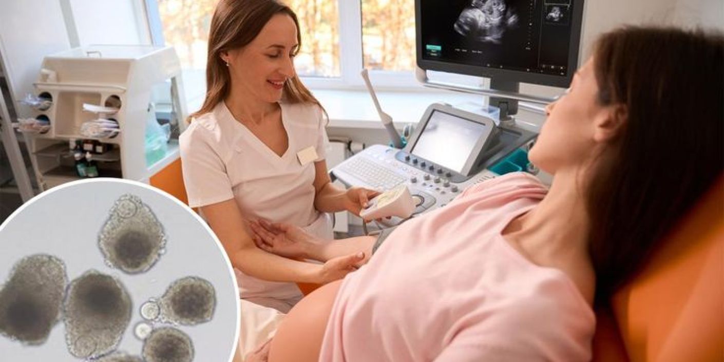 Egg Freezing (Pinterest: New York Post Shopping)