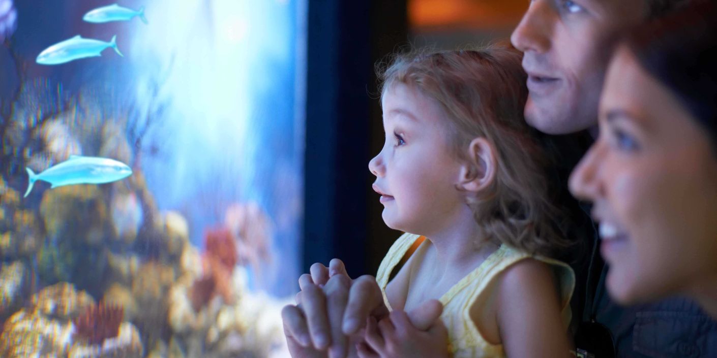 FOTO: iStock