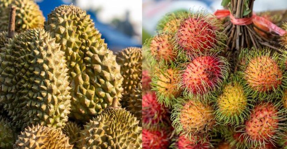 FOTO: Durian dan Buah Rambutan (sumber: iStockphoto/Thai Liang Lim)